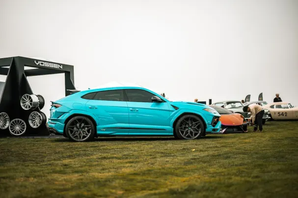 WinTomato Kazino Android/iOS Lietotne